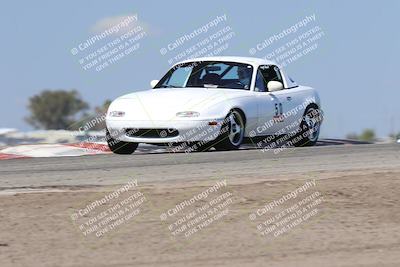 media/Oct-04-2025-OnGrid (Sat) [[44bd565ffa]]/Purple Group/Grapevine/